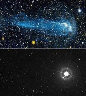 FOTO ESTRELA MIRA CAUDA.jpg FOTO ESTRELA MIRA CAUDA.jpg